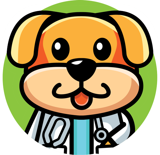 Veterinaria en San Cristóbal de las Casas